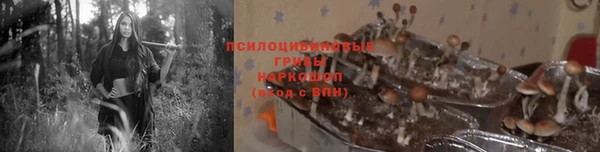 дурь Абаза