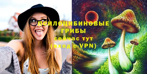 дурь Абаза