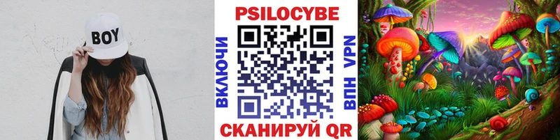 МЕГА как войти  Калачинск  Галлюциногенные грибы прущие грибы 